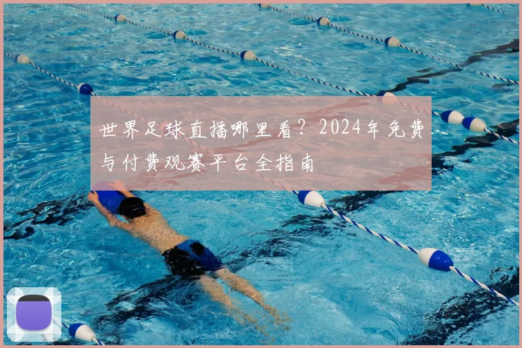 世界足球直播哪里看?2024年免费与付费观赛平台全指南