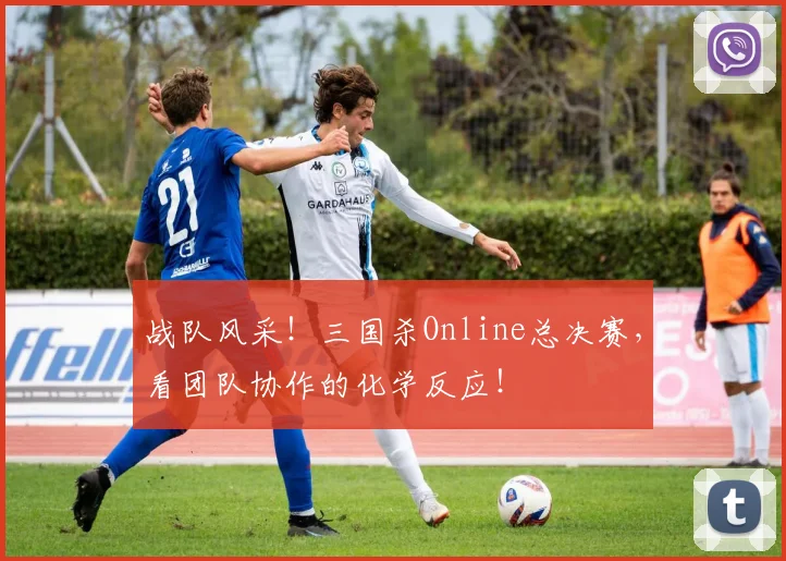 战队风采!三国杀Online总决赛,看团队协作的化学反应!